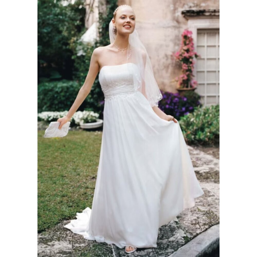 Wedding Dress (Size 8) Chiffon Soft Gown with Beaded Lace on Empire Waist